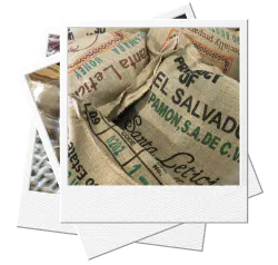 Santiago Brothers