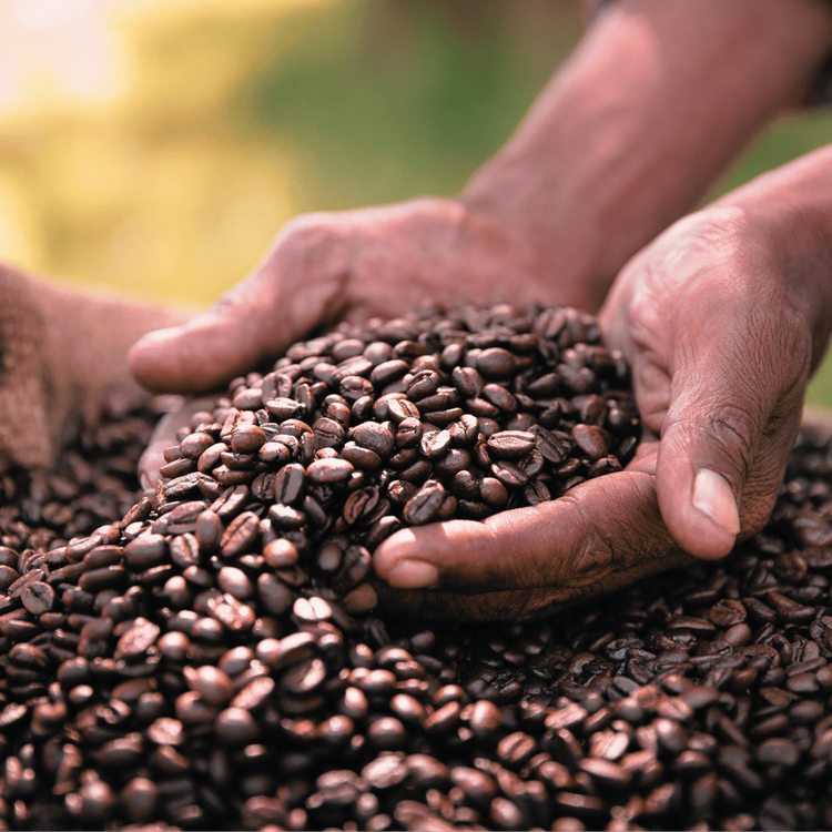 Pachamama Coffee