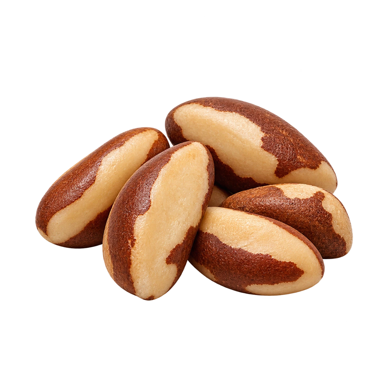 Brazil Nut
